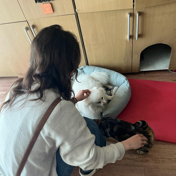 Meet your Posher, Peach - Picture 3 of 3